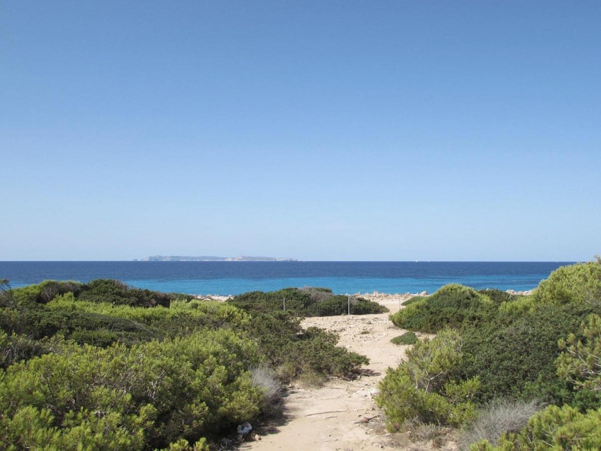 Hotel Chiquita - Adults Only - Over 12 Colònia de Sant Jordi